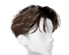 Light Brown Hair- Male