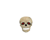 Halloween skull w/sound