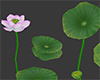 [Kit]Lotus Pond