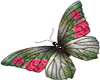 sticker  butterfly