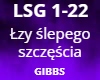 Lzy slepego szczescia