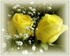 2 Yellow Roses