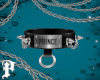 P. Prince Collar