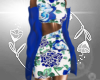 (BR) Blue Jacket CT
