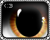 [<:3]Maneki Eyes (M)