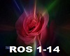 Leo Rojas - The Rose