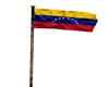 bandera venezuela animad