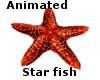 Animated Star Fish