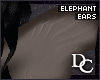 ~DC) Elephant Ears
