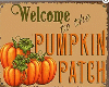 pumpkin patch feild