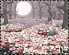 Forest Lovely Flowers PR