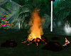 Campfire Fogueira 