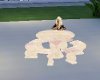 LS White Marble table
