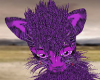 purple roo roo ears