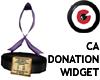 CA Donation Widget