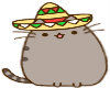 Pusheen