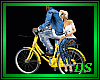 *Bicycle Couple  /Y