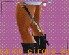canne cirque bs