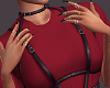 𝕯 Shirt & Harness