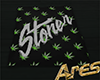 🌴Stoner's Rug平