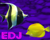 EDJ Fish Enhancer