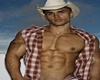 cowboy 1
