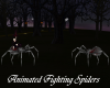 Animated Fighting Spider