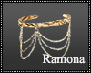 Belly Dancer Armbands