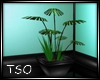 TSO~ Simple Plant