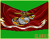 |C| USA Marines Flag