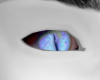 Blue dragon eyes