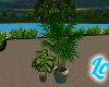 AA~Plants V1
