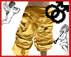 Gold Metalic Pants