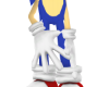 Full Outfit Sonic