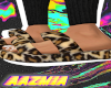 Cheetah slides  v1&v3