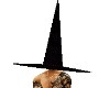 Witch Hat L 