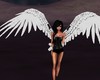 *Animated Wings 1*