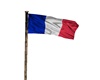 bandera francia animada
