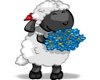 5aRof eL Eid