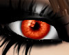 Orange Sherbert eyes