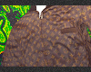 LV Varsity
