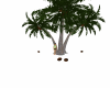 Animated CoCoNut  tree