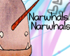 Narwhals Narwhals.