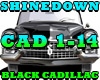 SHINEDOWN-BLACK CADILLAC