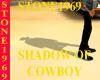 Shadow of a cowboy