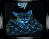 MVeLV CAT IN BAG