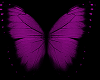 NS:Purple Butterfly Anim