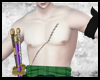 Zoro Abs
