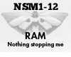 RAM Nothing stopping me
