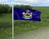 Animated Maine Flag